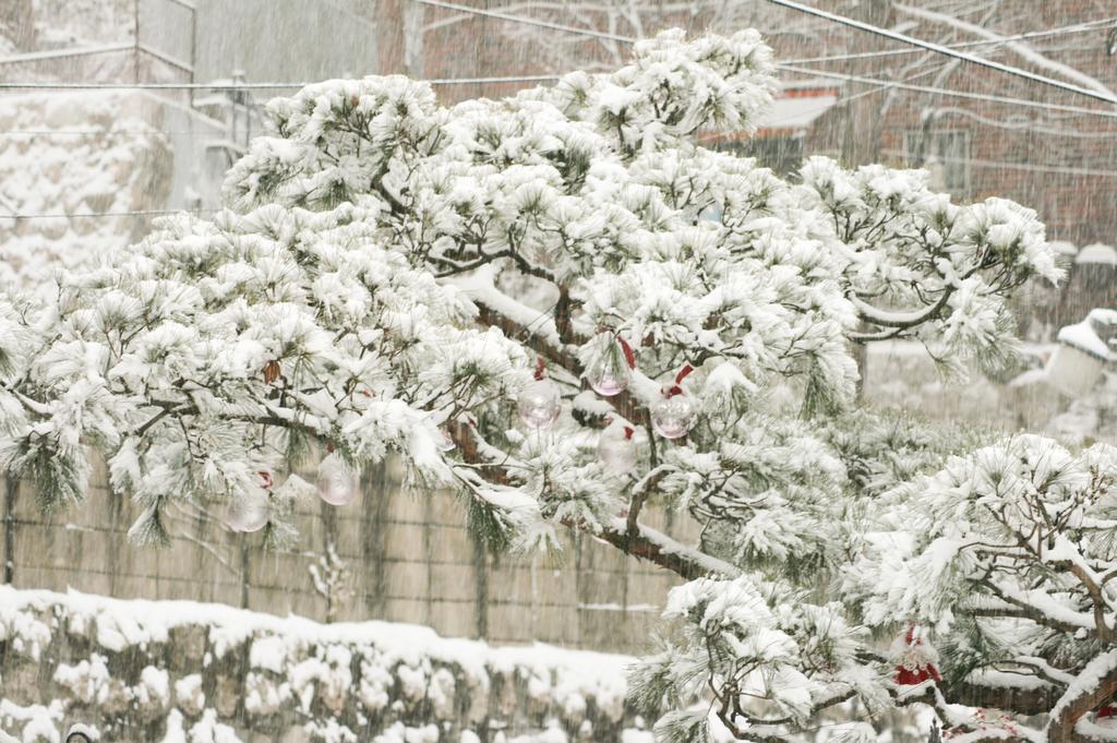 Cindy'S B&B Seoul Exterior photo