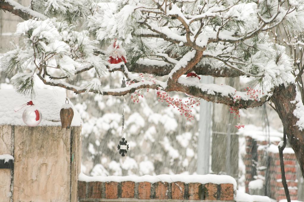 Cindy'S B&B Seoul Exterior photo